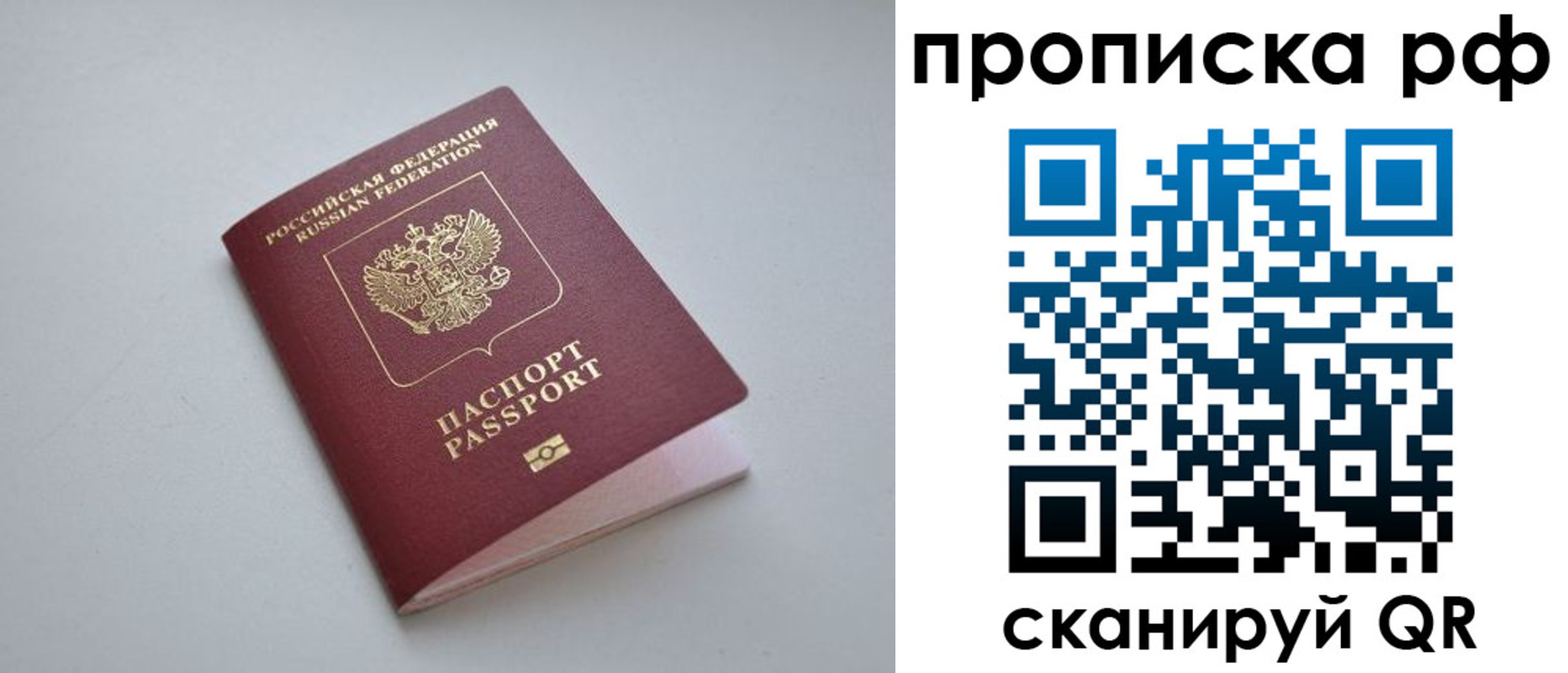 прописка в Сафоново
